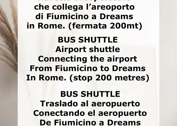 Dreams In St Peter S - Near Vaticano רומא